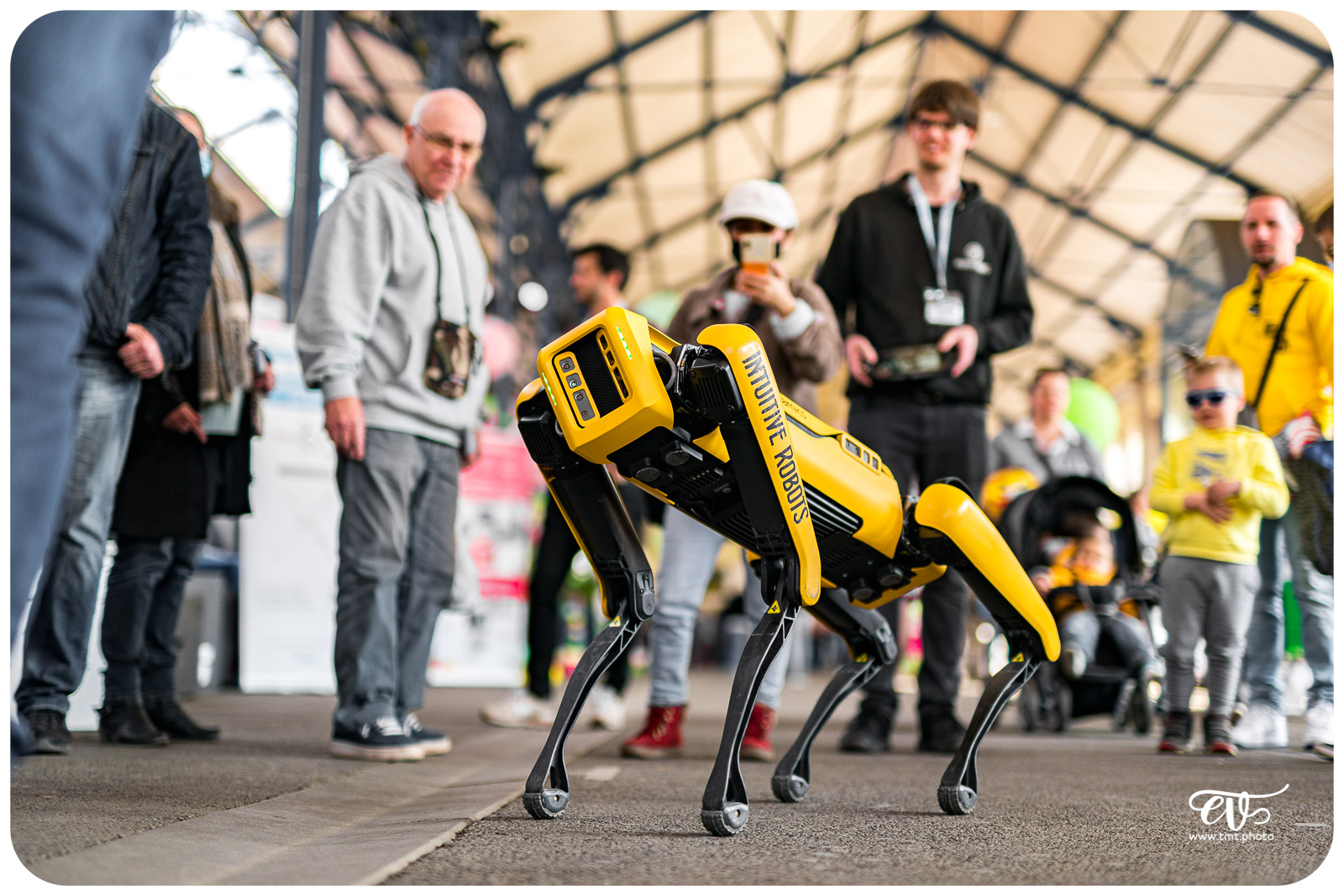 SPOT (BOSTON DYNAMICS)